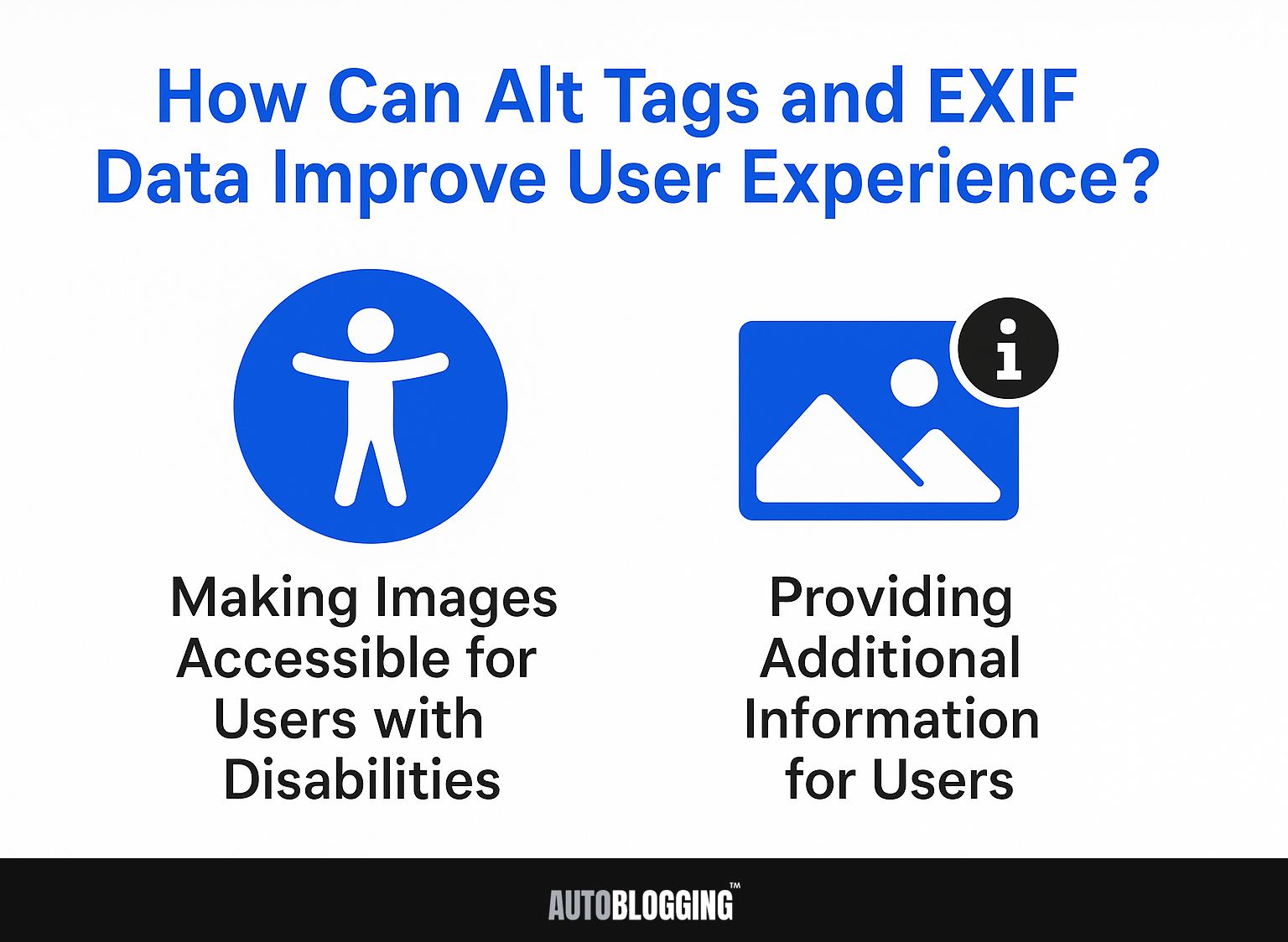 How Can Alt Tags and Exif Data Improve User Experience?
