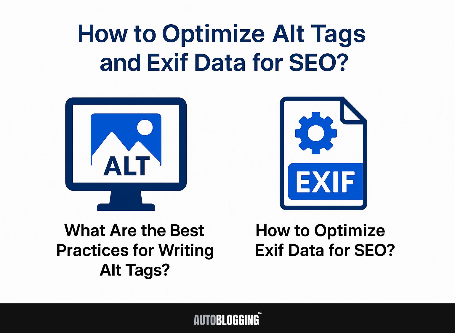 How to Optimize Alt Tags and Exif Data for SEO?