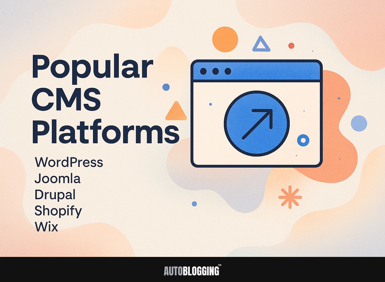 Popular CMS Platforms