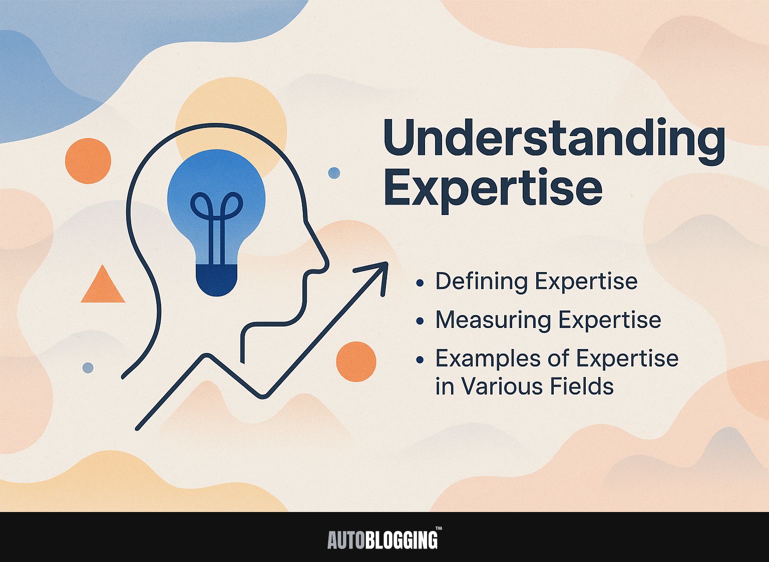 Understanding Expertise